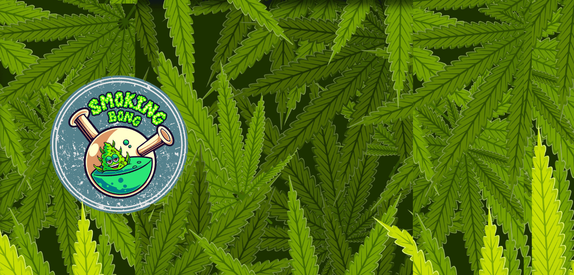Producto de la tienda online Cannalive