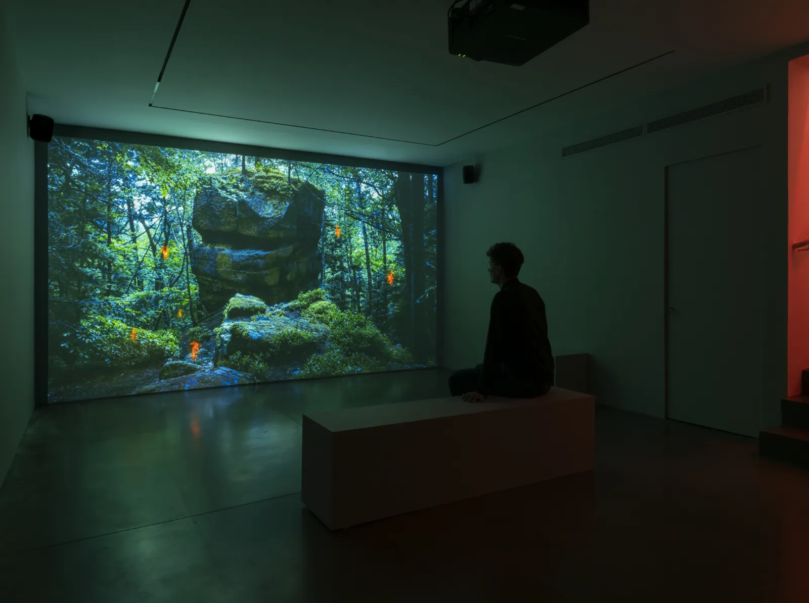 Videoinstalación en la exposición El tiempo de la interferencia